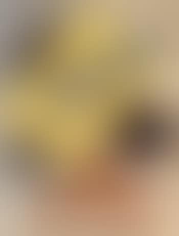 Composition (preview)