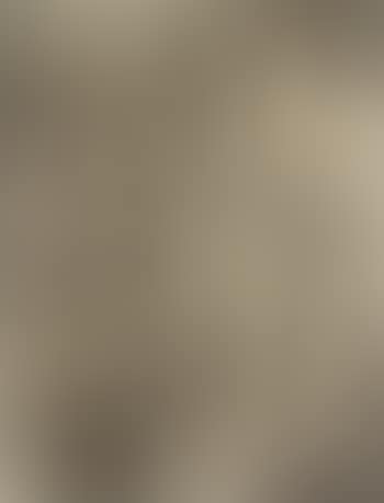 Transparence (preview)