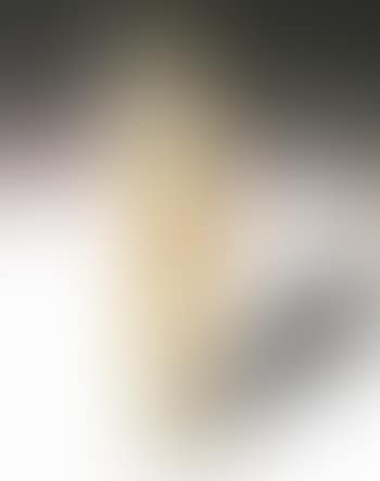 Standing woman, Caryatides (preview)