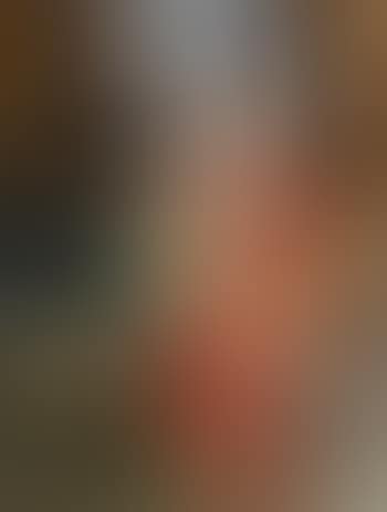 Portrait of a lady in a red dress (preview)
