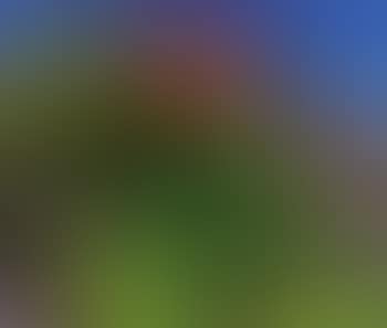 Green summer landscape (preview)