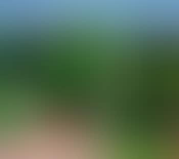 Green landscape, Hellar (preview)