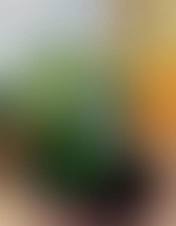 Flowering shrub (preview)