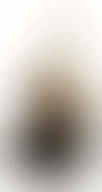 Nude ascending a staircase - hommage to Marcel Duchamps (preview)