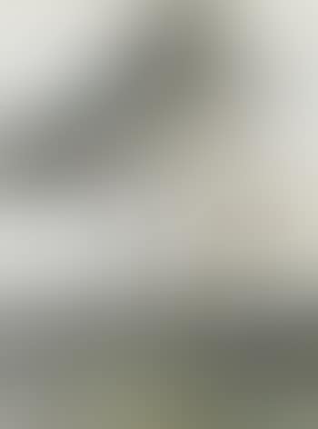 From Villa Borghese, Rome (preview)