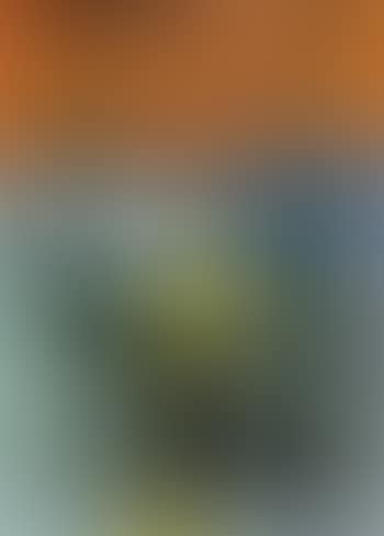 The scream (preview)