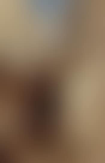 Rue a Alger (preview)