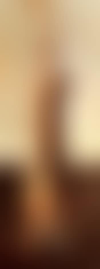 Lievre (preview)