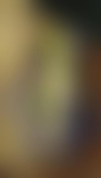 Composition (preview)