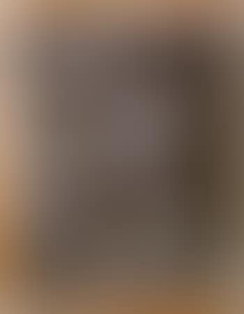 Jasper Johns - Shade (preview)