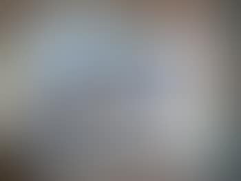 Nature morte (preview)