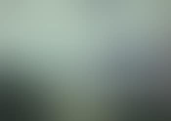 Paysage panoramique (preview)