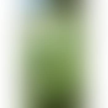 Flowering vegetables (preview)