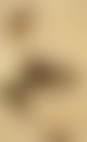 Reclining female nude (preview)