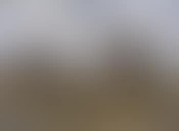Landscape with shepherd and his flock (preview)
