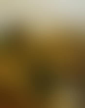 Golden autumn (preview)