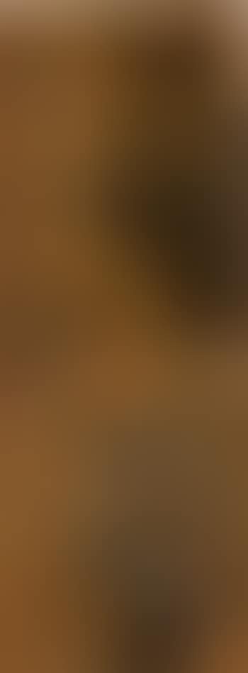 Lohans (preview)