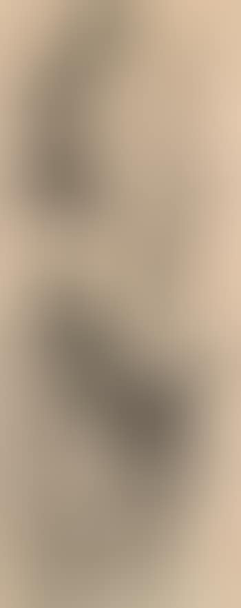 Bamboo (preview)
