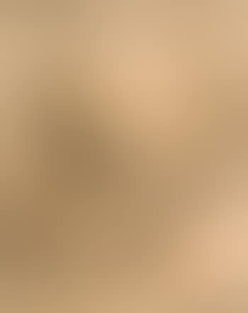 Landscape (preview)