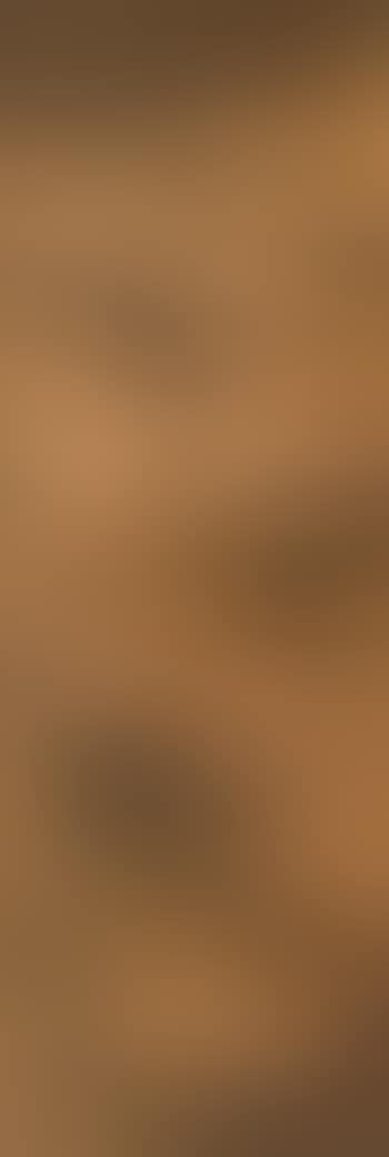 Landscape (preview)