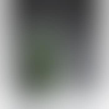 Rabindranath Tagore (preview)