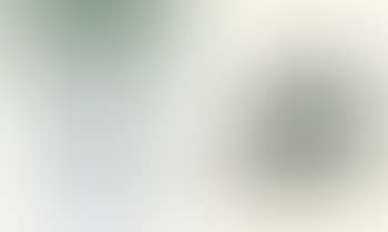 Lampe hibou et coupe a gauche (preview)