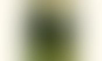 Norwegian landscape (preview)