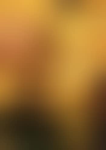 Venice, honeymoon (preview)