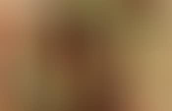 Russule (preview)