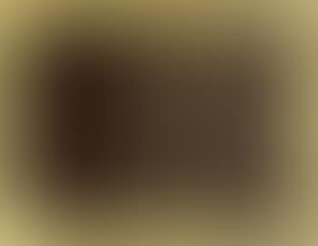 Untitled - composition (preview)