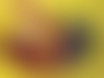 Untitled - composition (preview)