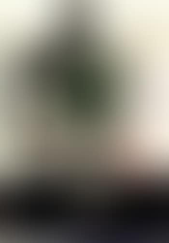 Polypheme (preview)