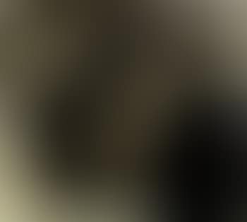 Figures (preview)