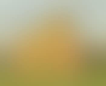 Spring (preview)