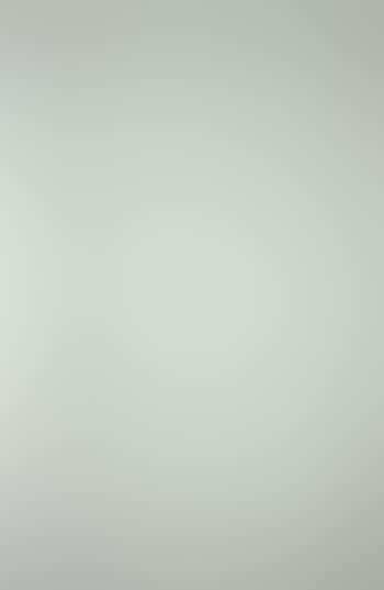 White surface (preview)