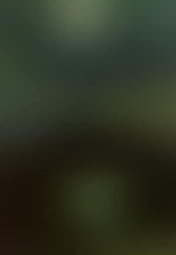 Angler on the cliffs (preview)