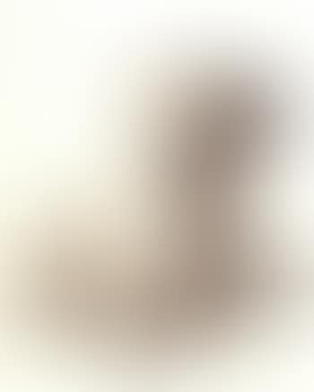 A sealyham terrier (preview)