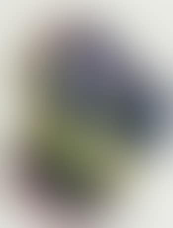 Landscape in me (preview)
