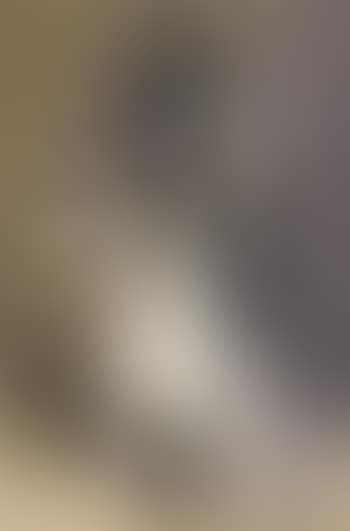 Le beret vert (preview)
