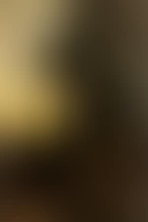 Paysage au crepuscule (preview)