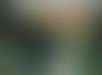Landscape (preview)