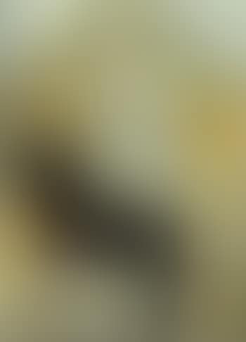 Old man dreams of his Victorian childhood Thanksgiving (preview)