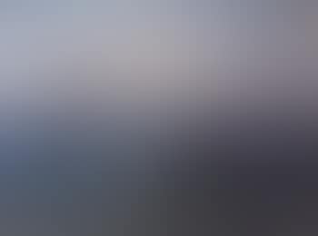 Dawn. At sunset (preview)