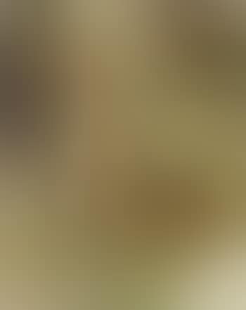 Female nude seen from behind (preview)