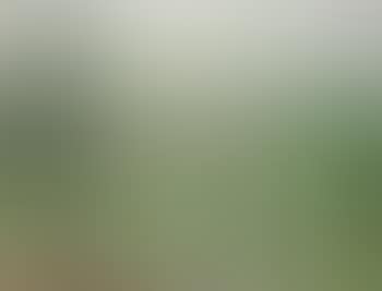 Green landscape (preview)