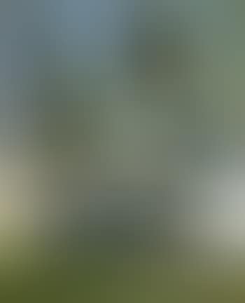 Landscape (preview)