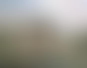 La portique. La piece d'eau (preview)