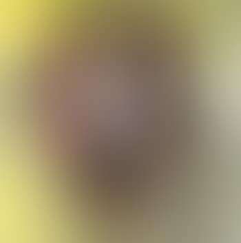 Portrait de Sartre (preview)
