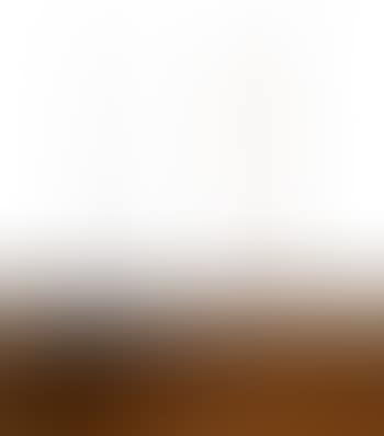 Silver broom. Broom without bristles (preview)