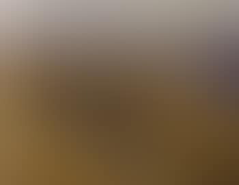 Julier panorama (preview)